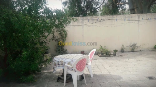 Vente Villa Skikda Hamadi krouma