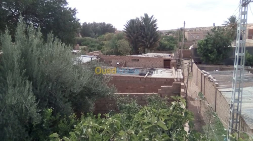 Vente Terrain Naama Ain sefra
