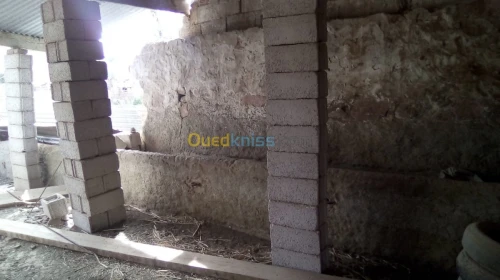 Vente Terrain Naama Ain sefra