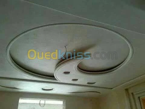 كل اعمال الجبس و البلاكو بلاتر