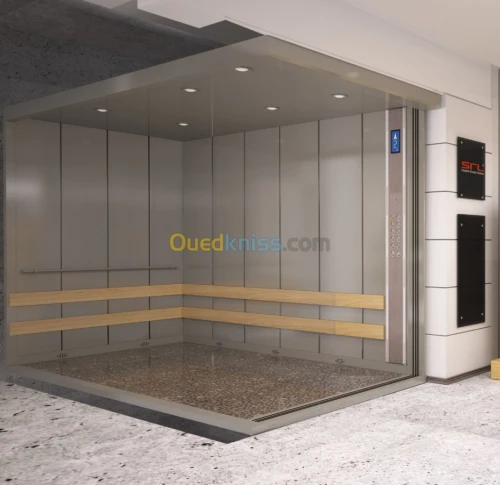 Monte charge ascenseurs, escalier, monte malade..