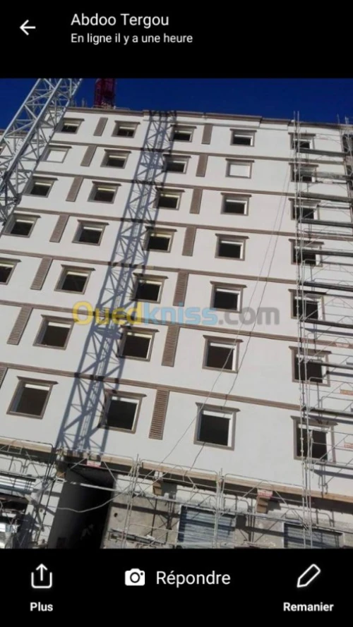 Traitement de façade monocouche