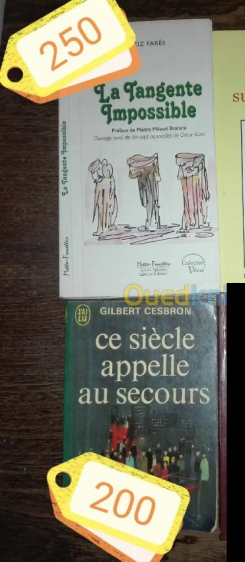 Plusieurs  livres et romans a vendre 