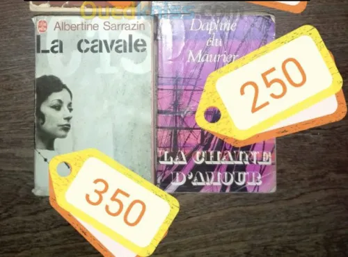 Plusieurs  livres et romans a vendre 