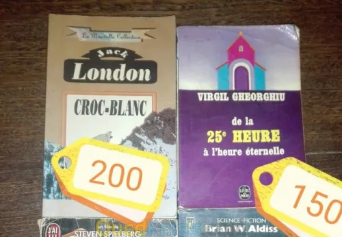 Plusieurs  livres et romans a vendre 