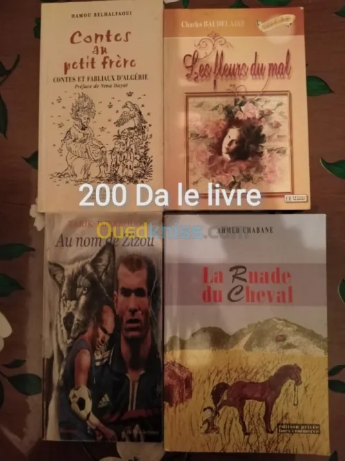 Plusieurs  livres et romans a vendre 