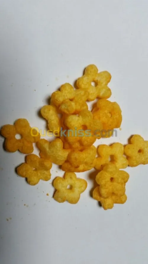 USINE PRODUCTION CHIPS SOUFFLES