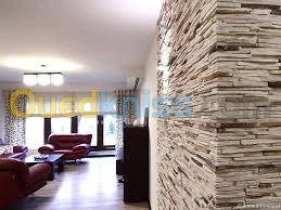 Formation Ba 13 placo platre-setif