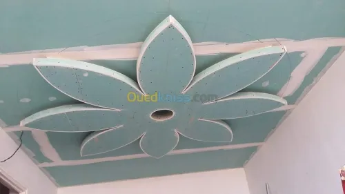 Placo platter  b13