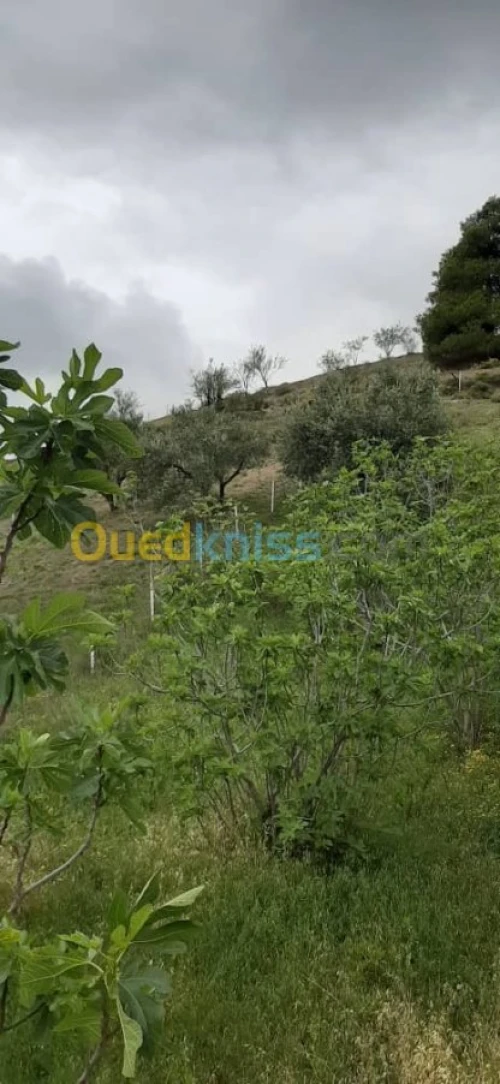 Vente Villa Bejaia Tamokra