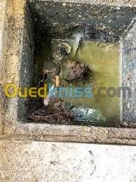 تنظيف وتطهير جميع قنوات الصرف الصحي 
