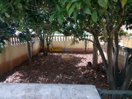 Vente Villa Alger El achour