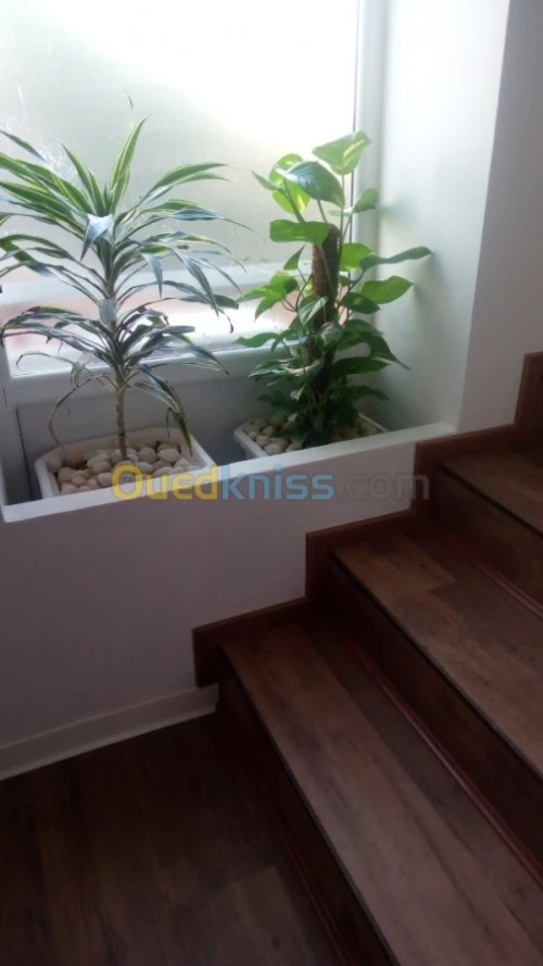 Décoration rénovation revêtement de sol 