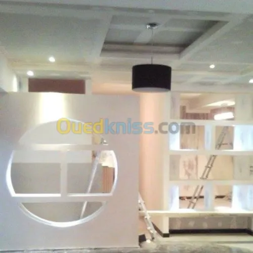 Placoplatre fauxplafon Pvc 