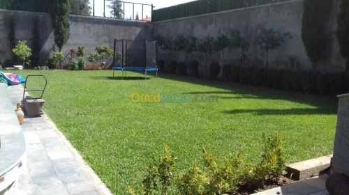 jardinage