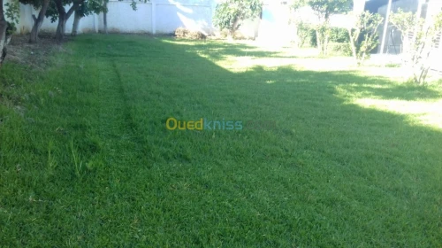 jardinage