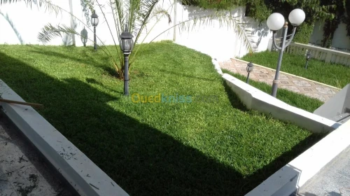 jardinage