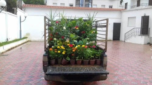 jardinage