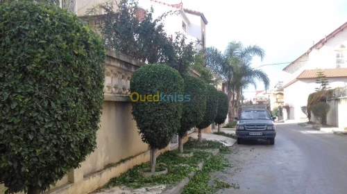 jardinage
