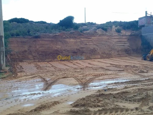 Vente Terrain Skikda Skikda