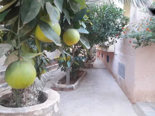 Vente Villa Ghardaia Ghardaia
