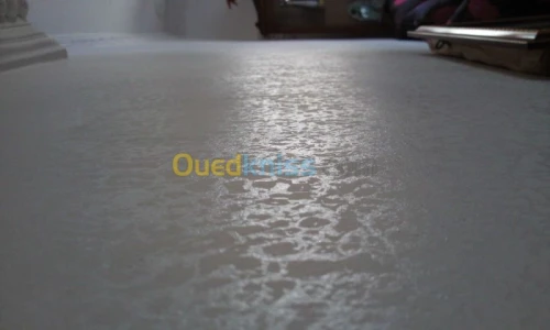 peintres qualifiés