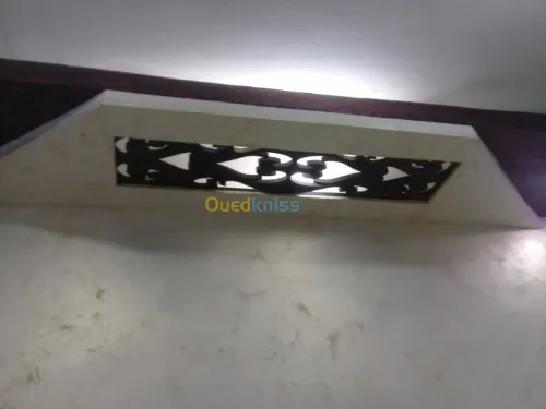 Pienture et placo platre