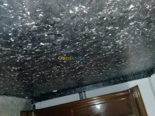 Pienture et placo platre