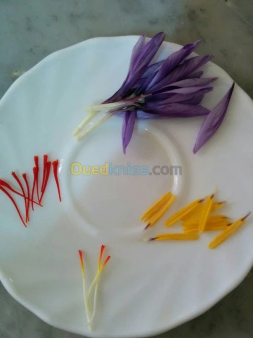 بيع بذور و شعيرات الزعفران الحر 