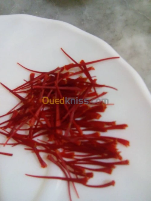 بيع بذور و شعيرات الزعفران الحر 