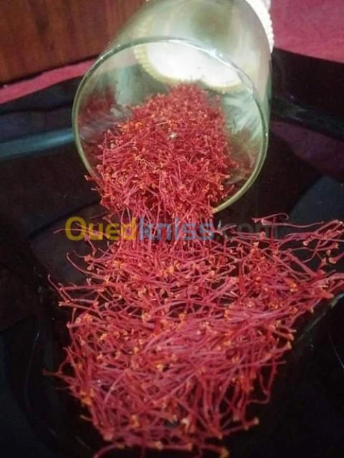 بيع بذور و شعيرات الزعفران الحر 