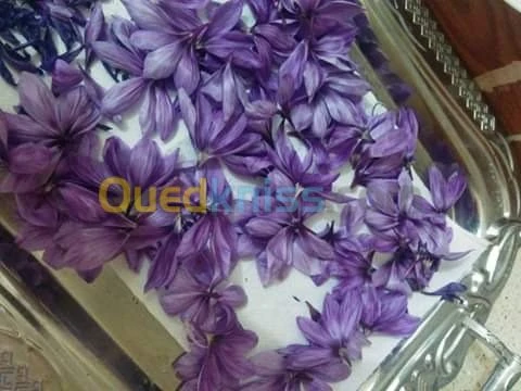بيع بذور و شعيرات الزعفران الحر 