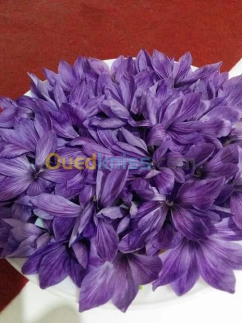 بيع بذور و شعيرات الزعفران الحر 