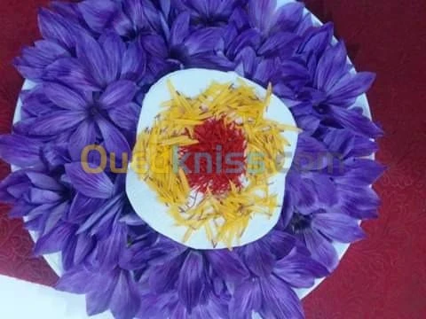 بيع بذور و شعيرات الزعفران الحر 