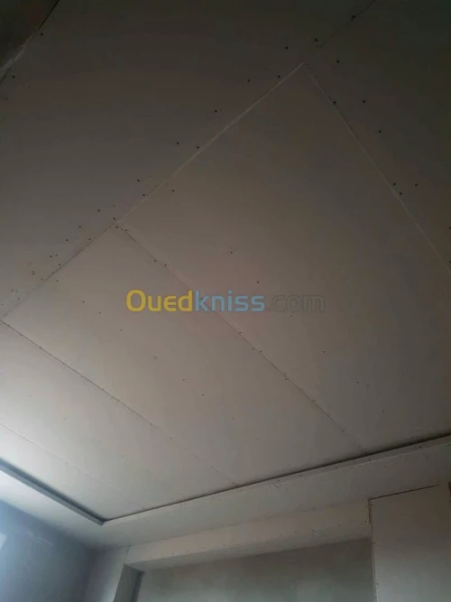 Placo plâtres