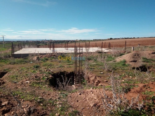 Vente Terrain Mostaganem Fornaka
