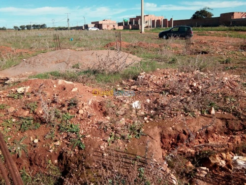 Vente Terrain Mostaganem Fornaka