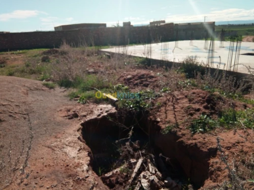Vente Terrain Mostaganem Fornaka