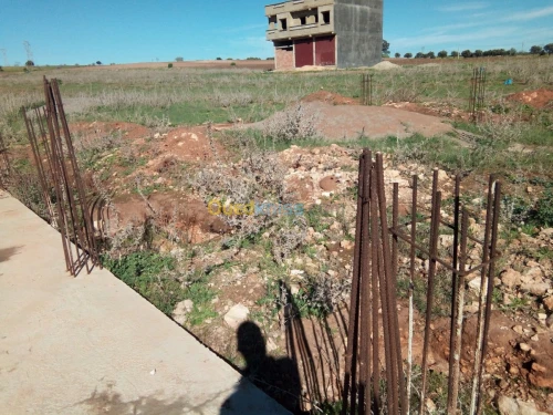 Vente Terrain Mostaganem Fornaka