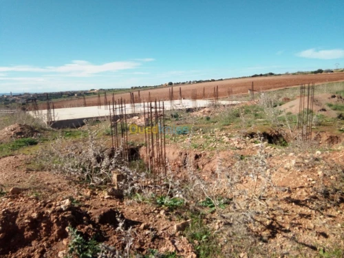 Vente Terrain Mostaganem Fornaka
