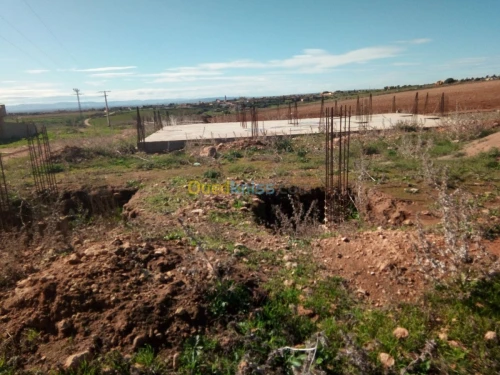 Vente Terrain Mostaganem Fornaka