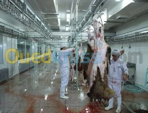 Abattoirs complet