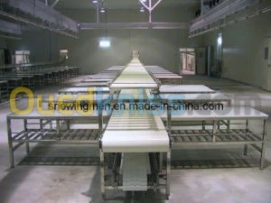 Abattoirs complet