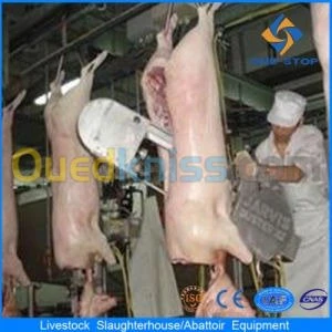 Abattoirs complet