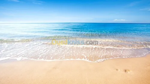 Le guides touristique