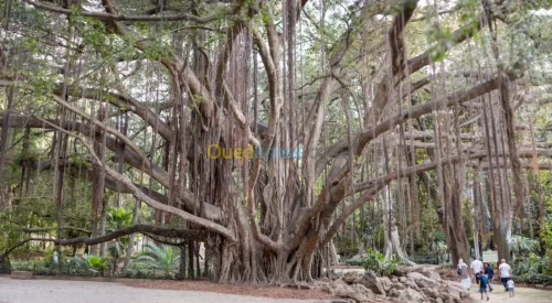 Le guides touristique