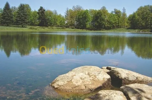 Le guides touristique