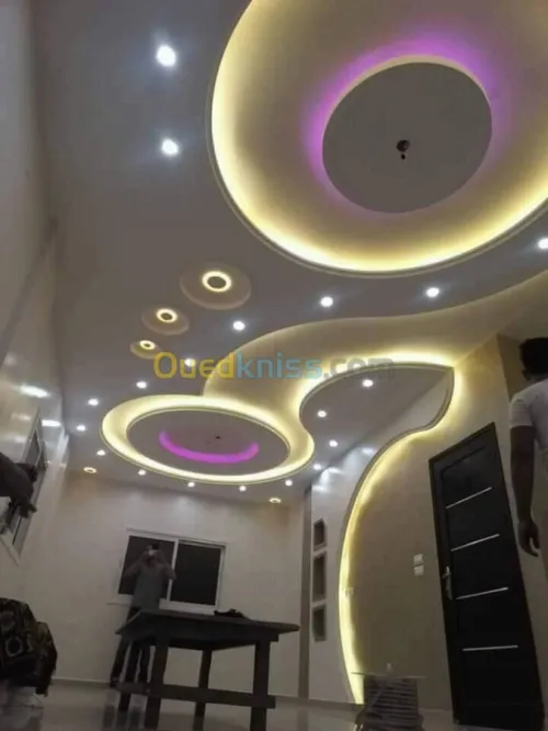 placo platre decoration ba 13 pvc 