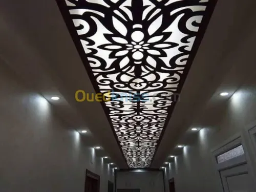 placo platre decoration ba 13 &  pvc 