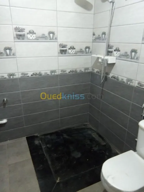 Cabine de douche en verre 